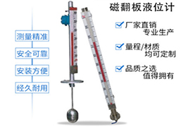 防腐式磁翻板液位計